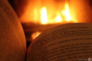 Dez. 2013, warme Farben