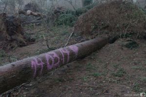 10_Someone_You_Love1