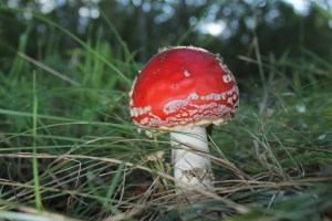 Jan. 2015, Auf dem Boden