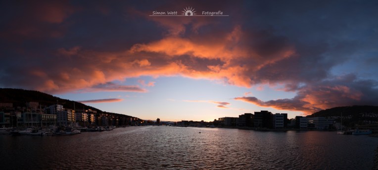 IMG_1013_stitch3crop-3