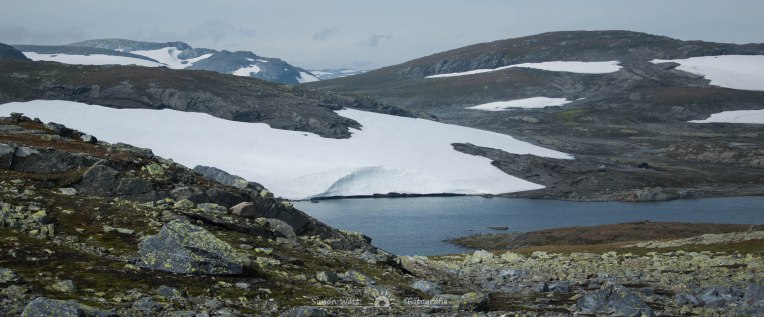 img_8921_zuschnitt-2